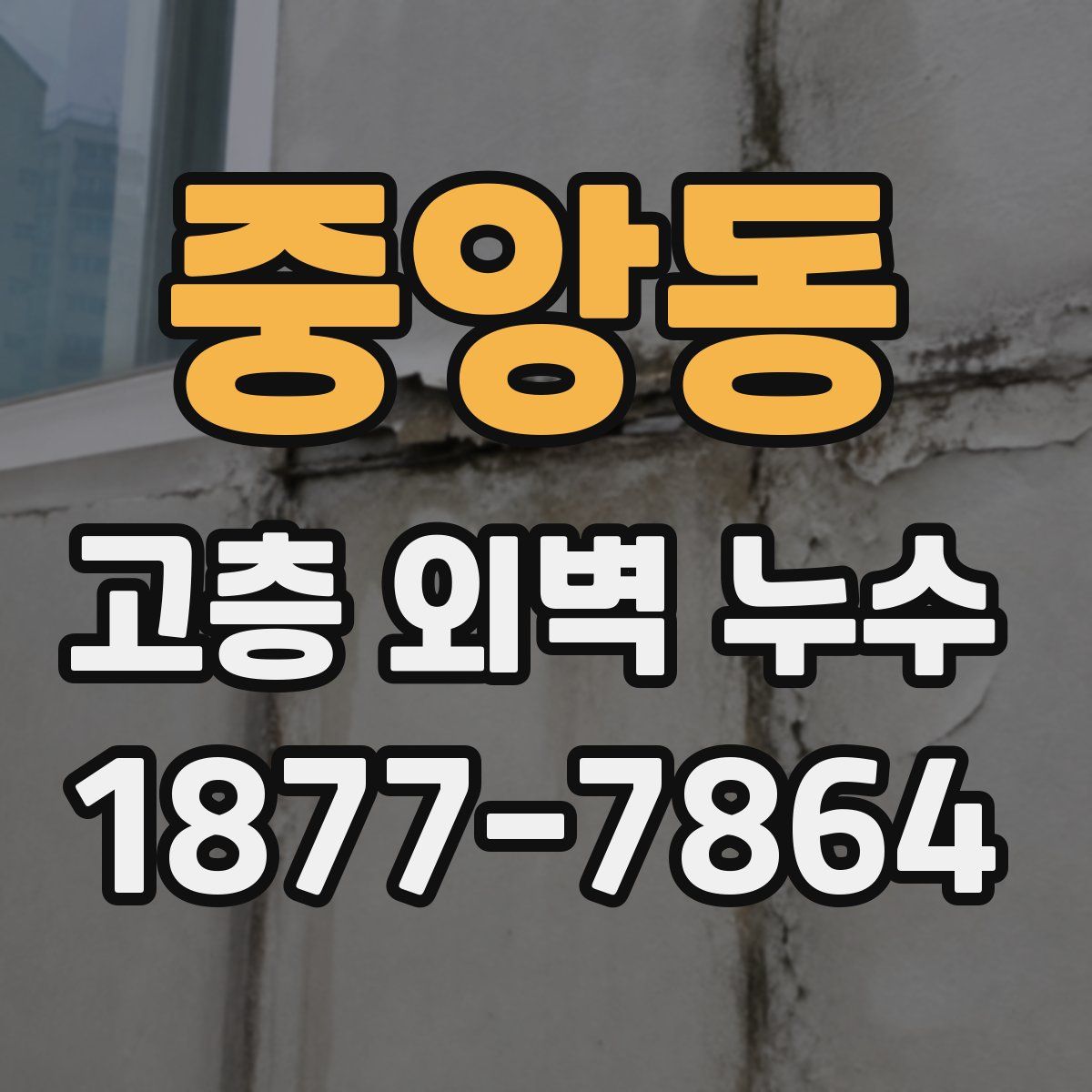 중앙동 고층 외벽 누수