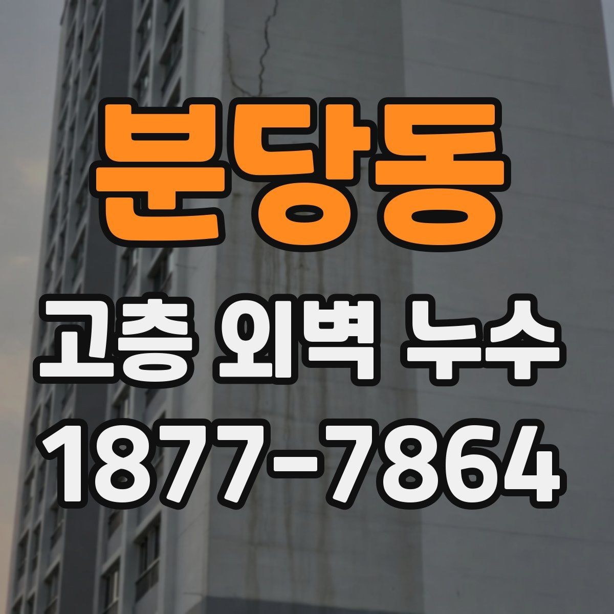 분당동 고층 외벽 누수 의심 구간을 찾는 방법