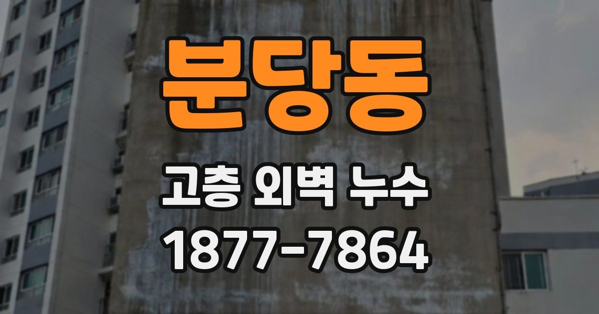 분당동 고층 외벽 누수