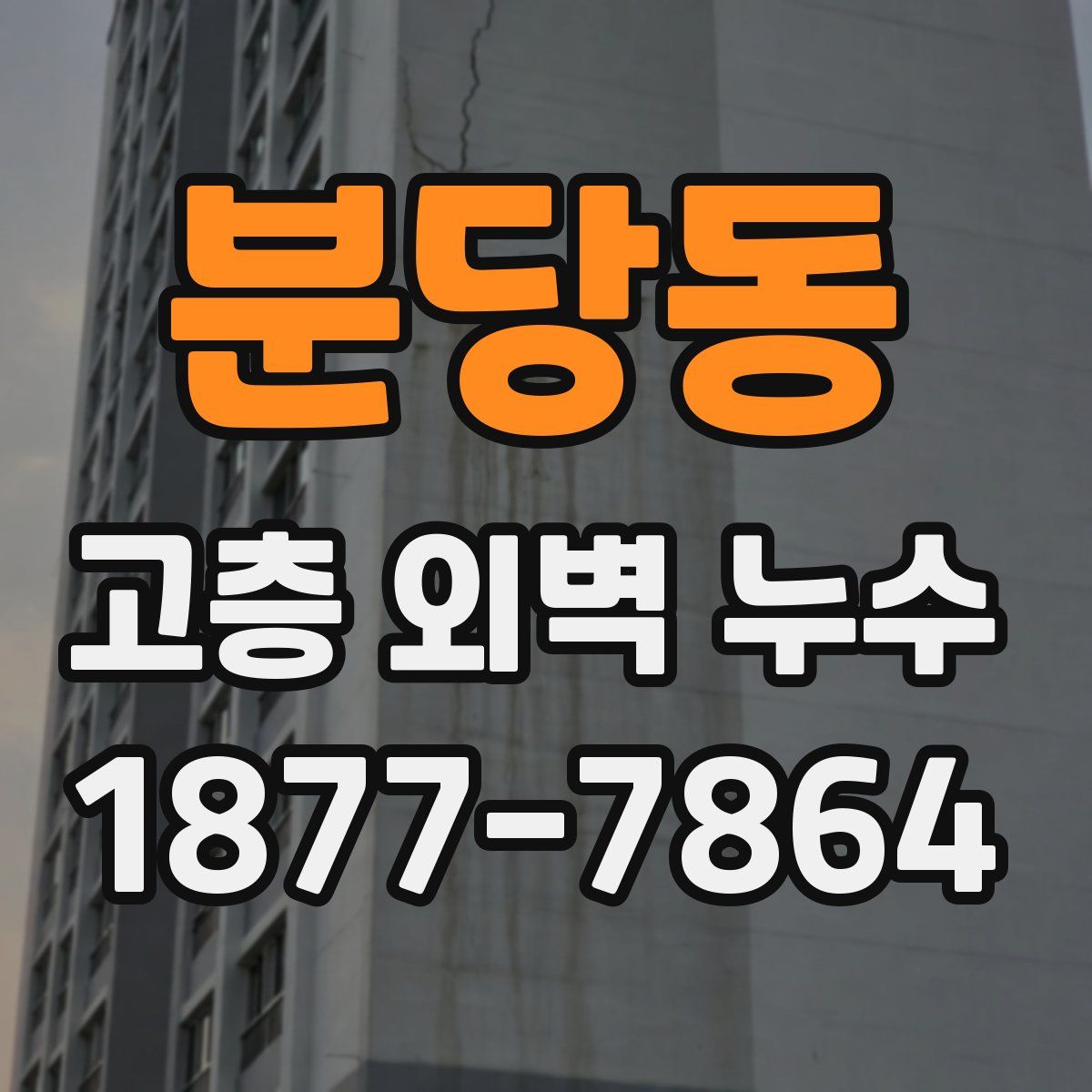 분당동 고층 외벽 누수