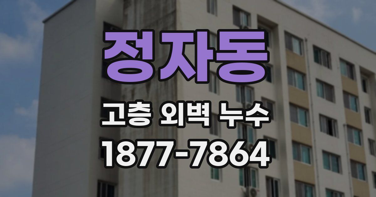 정자동 고층 외벽 누수