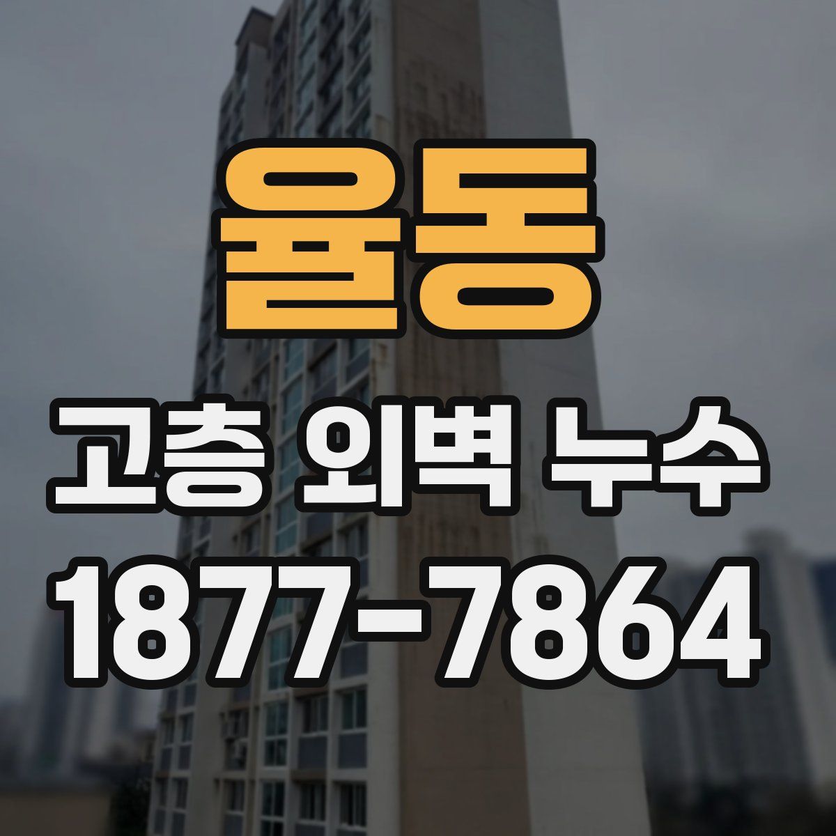 율동 고층 외벽 누수