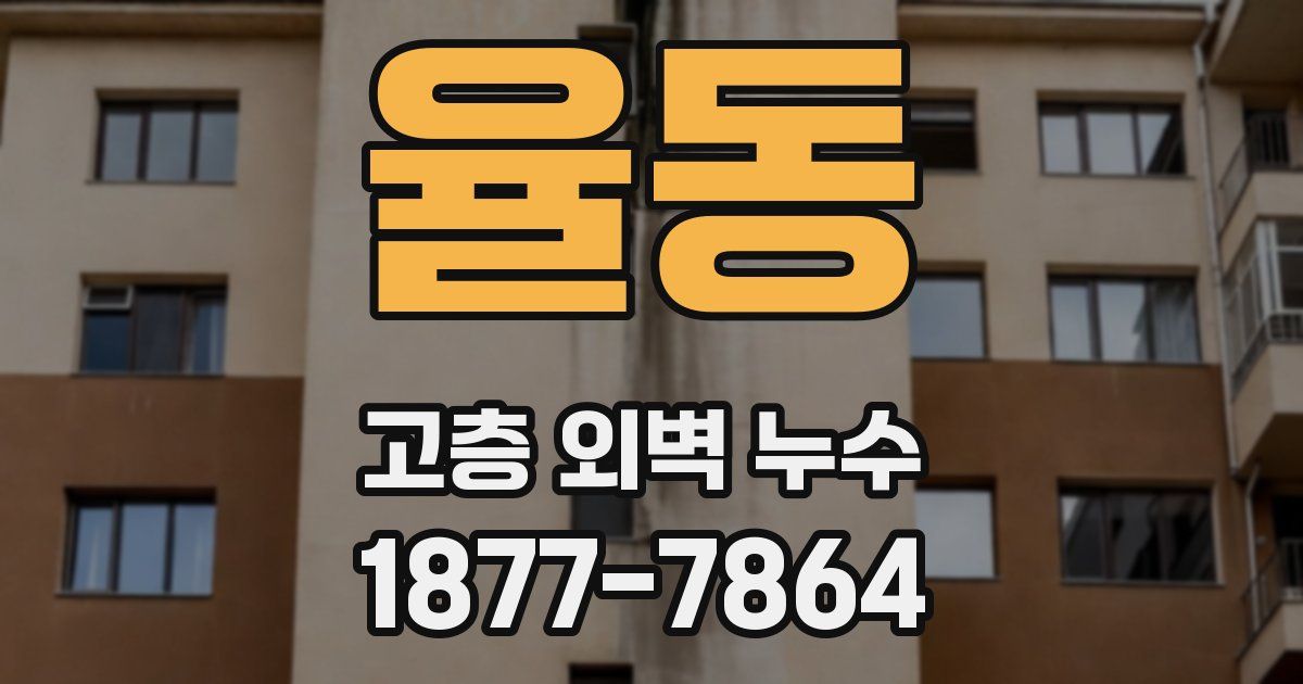 율동 고층 외벽 누수
