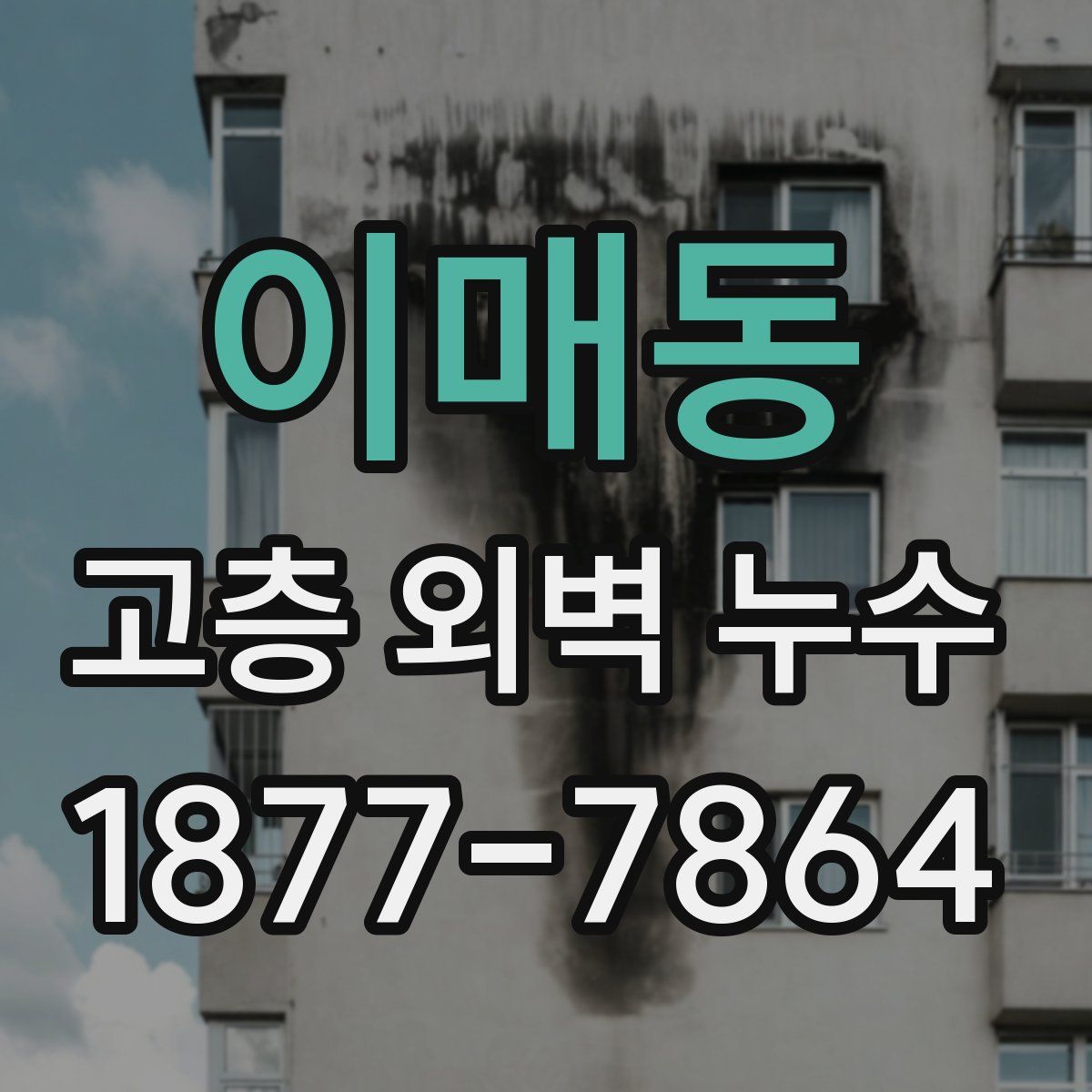이매동 고층 외벽 누수