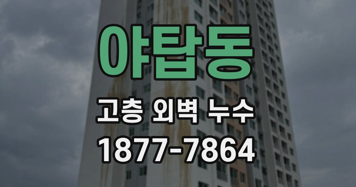야탑동 고층 외벽 누수