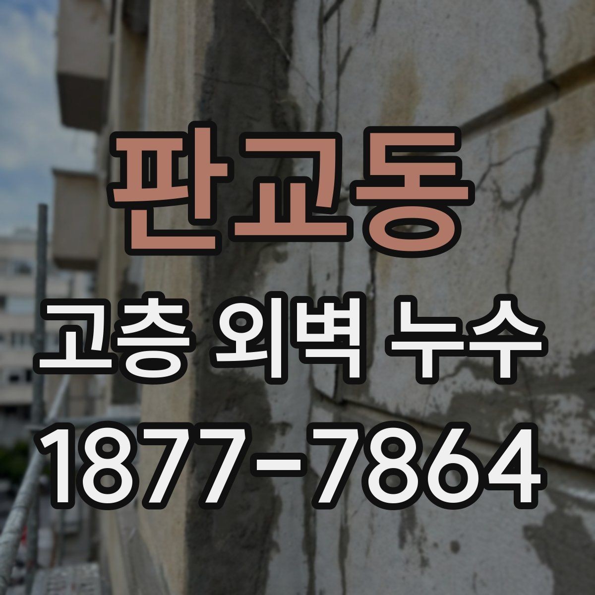 판교동 고층 외벽 누수 외부 균열 보수 방법 정리
