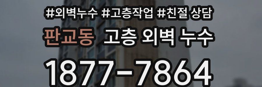 판교동 고층 외벽 누수