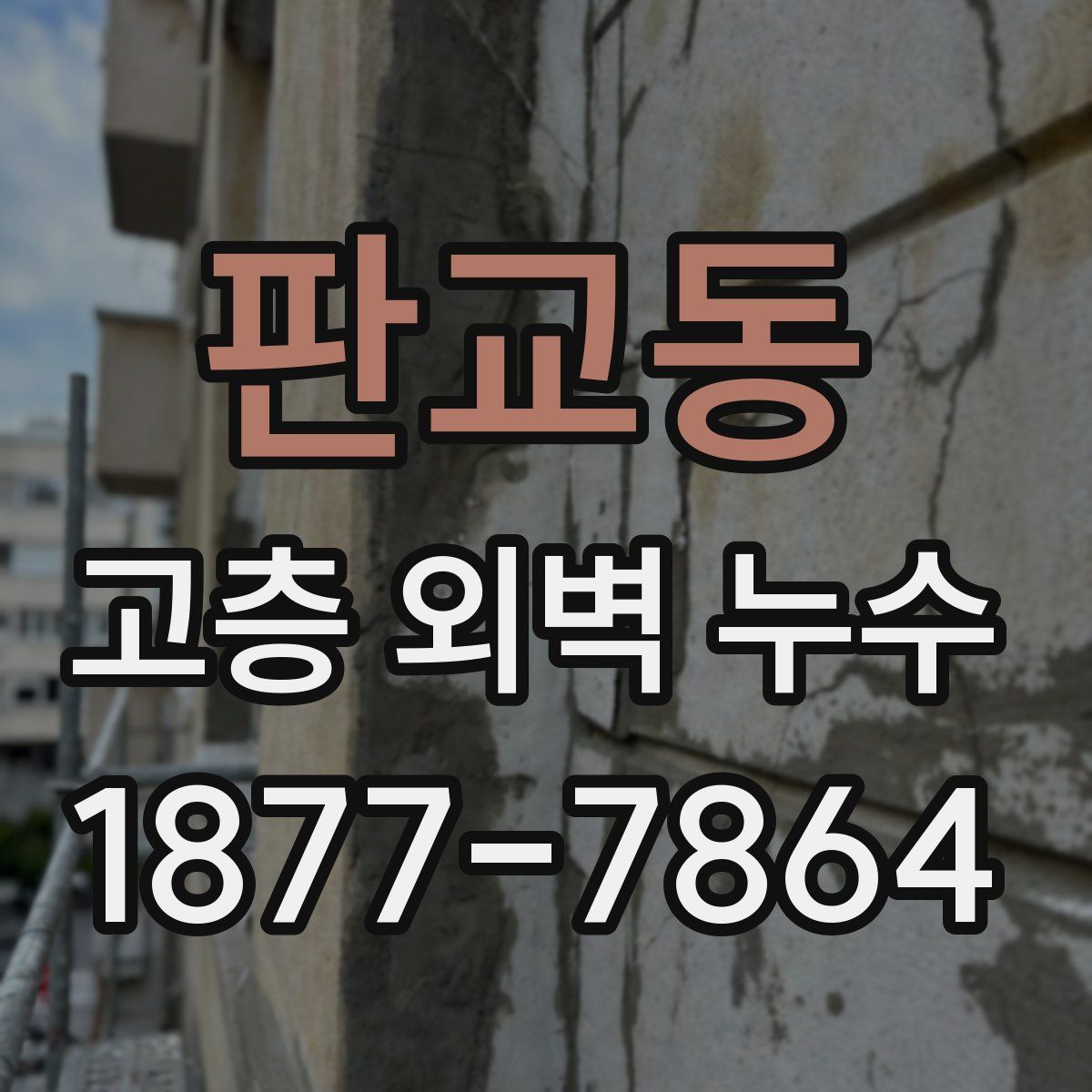 판교동 고층 외벽 누수