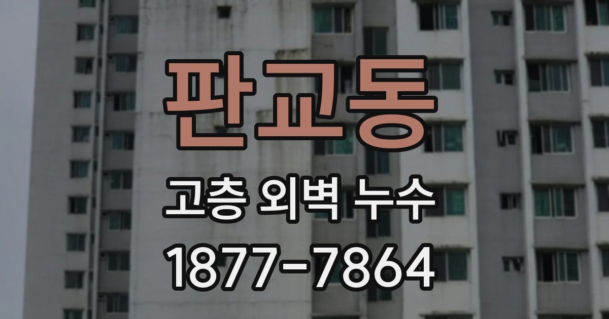 판교동 고층 외벽 누수