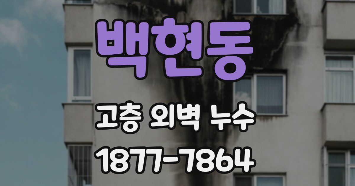 백현동 고층 외벽 누수