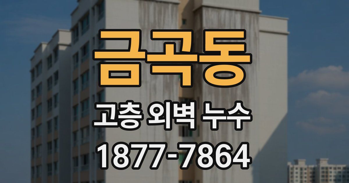 금곡동 고층 외벽 누수