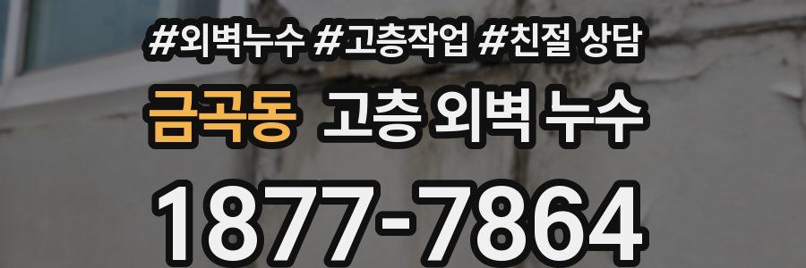 금곡동 고층 외벽 누수