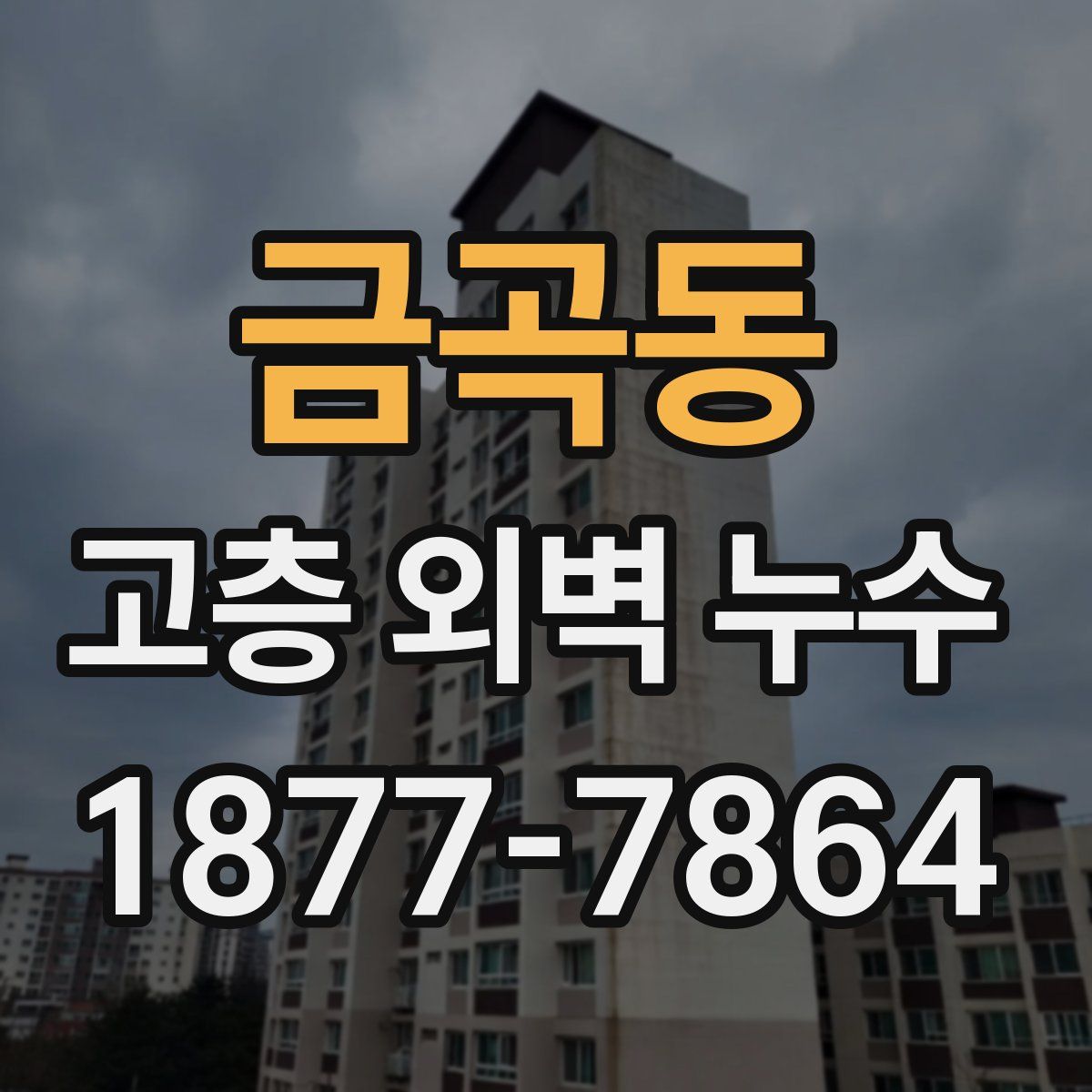 금곡동 고층 외벽 누수