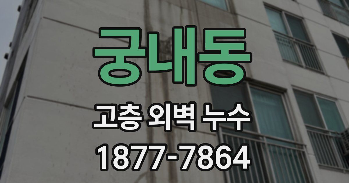 궁내동 고층 외벽 누수