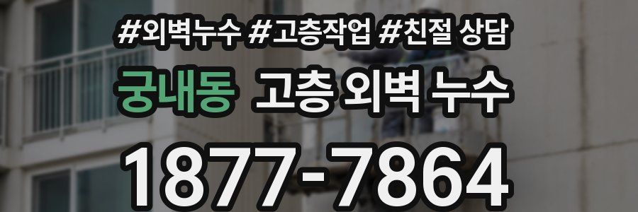 궁내동 고층 외벽 누수