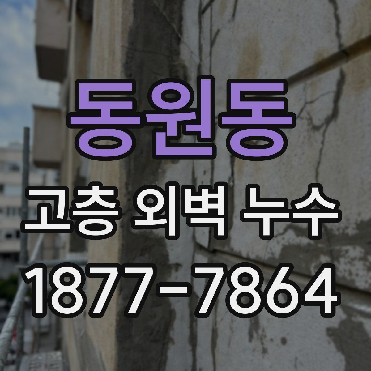 동원동 고층 외벽 누수