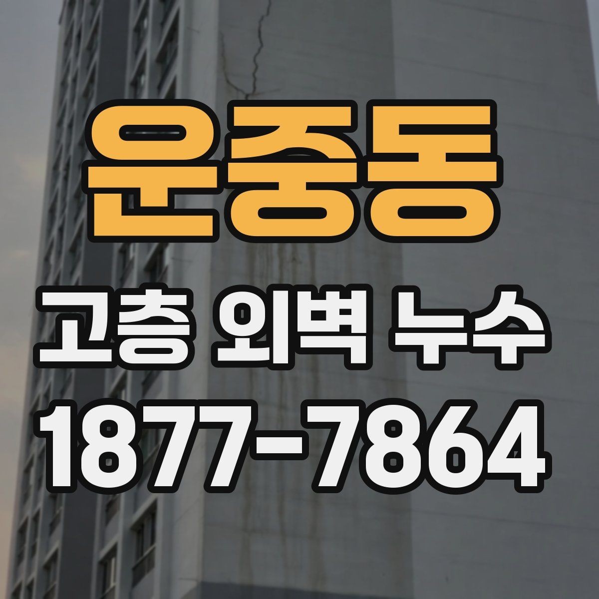 운중동 고층 외벽 누수 배관 문제와 외벽 문제 구분하기