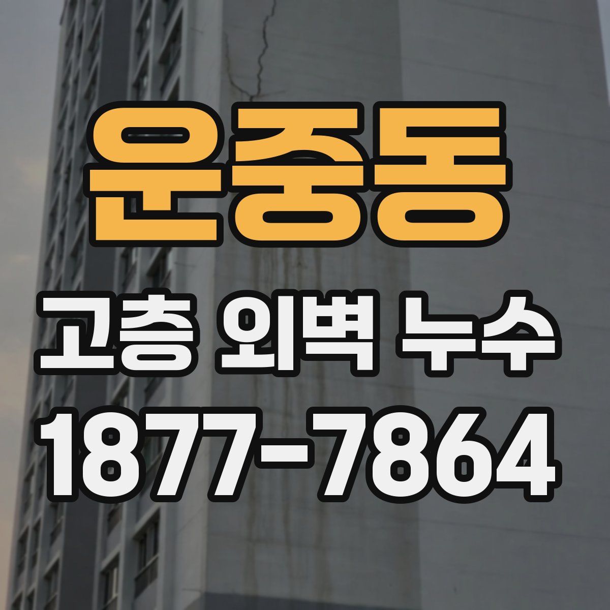 운중동 고층 외벽 누수