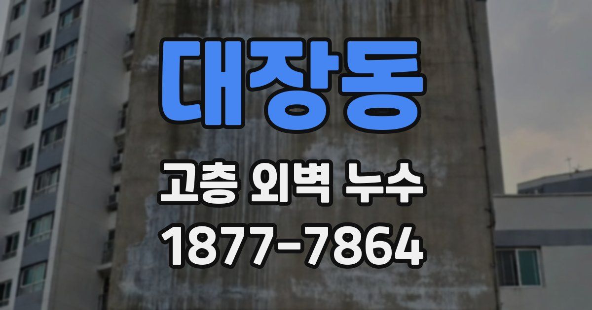 대장동 고층 외벽 누수