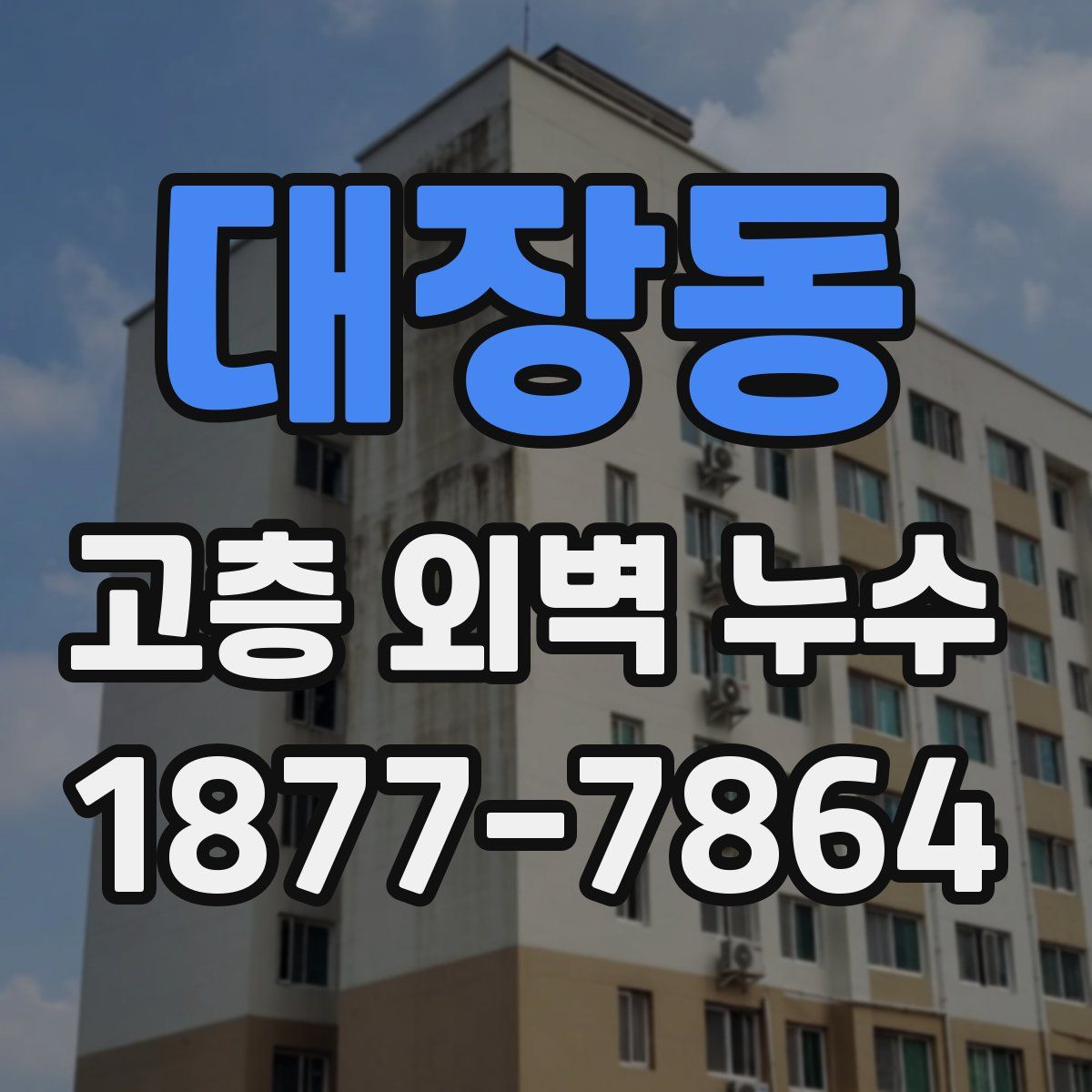 대장동 고층 외벽 누수