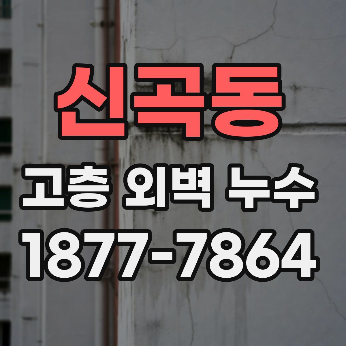 신곡동 고층 외벽 누수