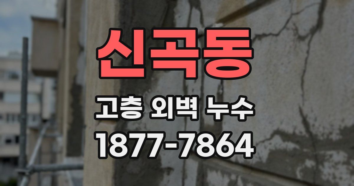 신곡동 고층 외벽 누수