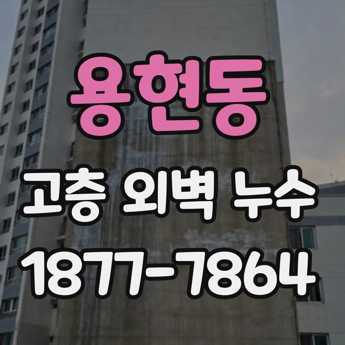 용현동 고층 외벽 누수
