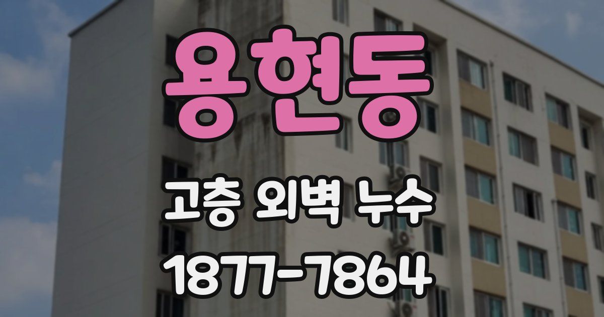 용현동 고층 외벽 누수