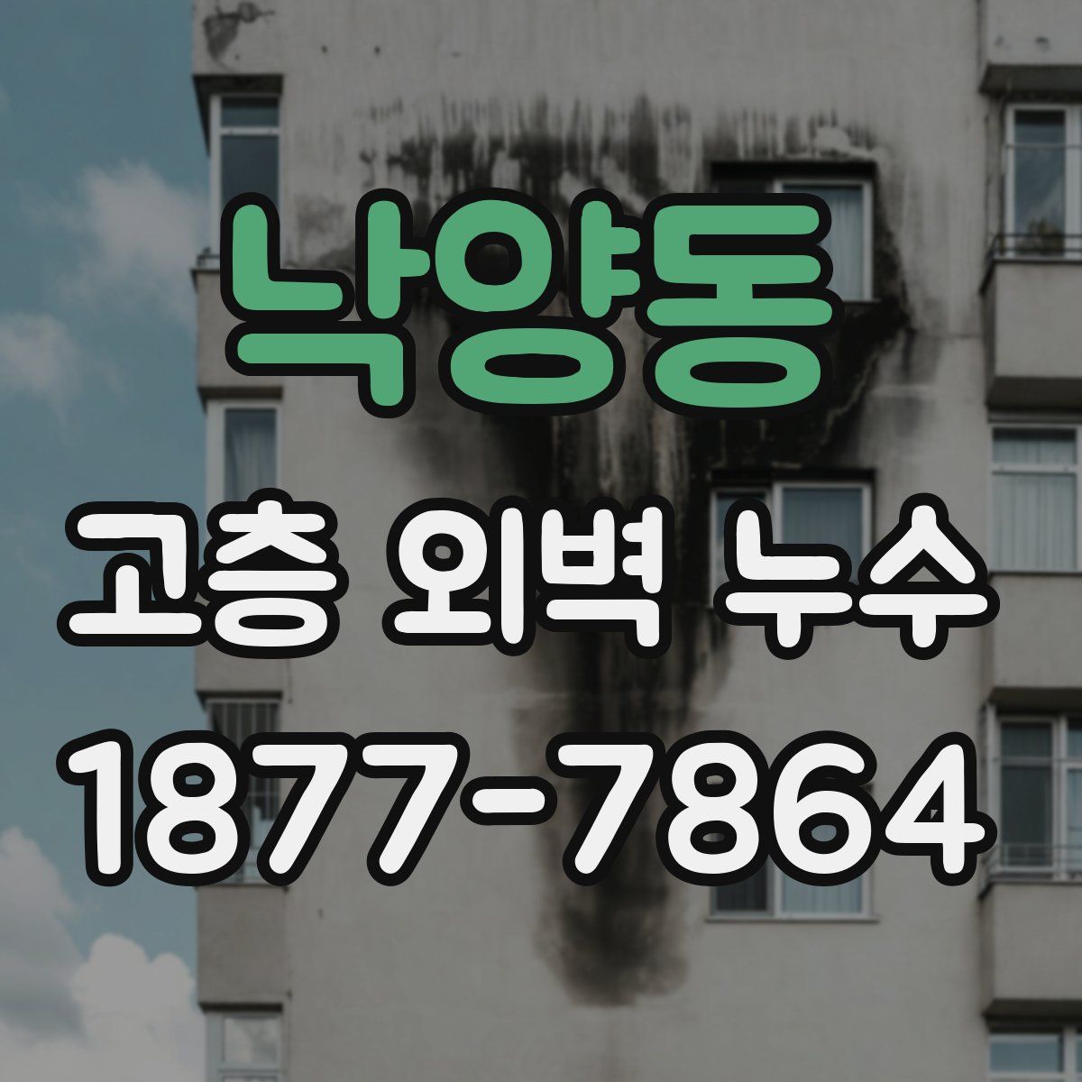 낙양동 고층 외벽 누수