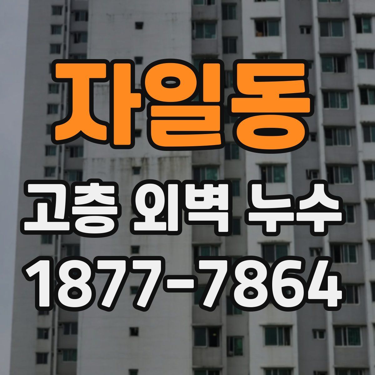 자일동 고층 외벽 누수
