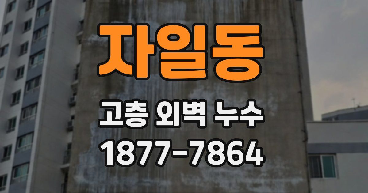 자일동 고층 외벽 누수