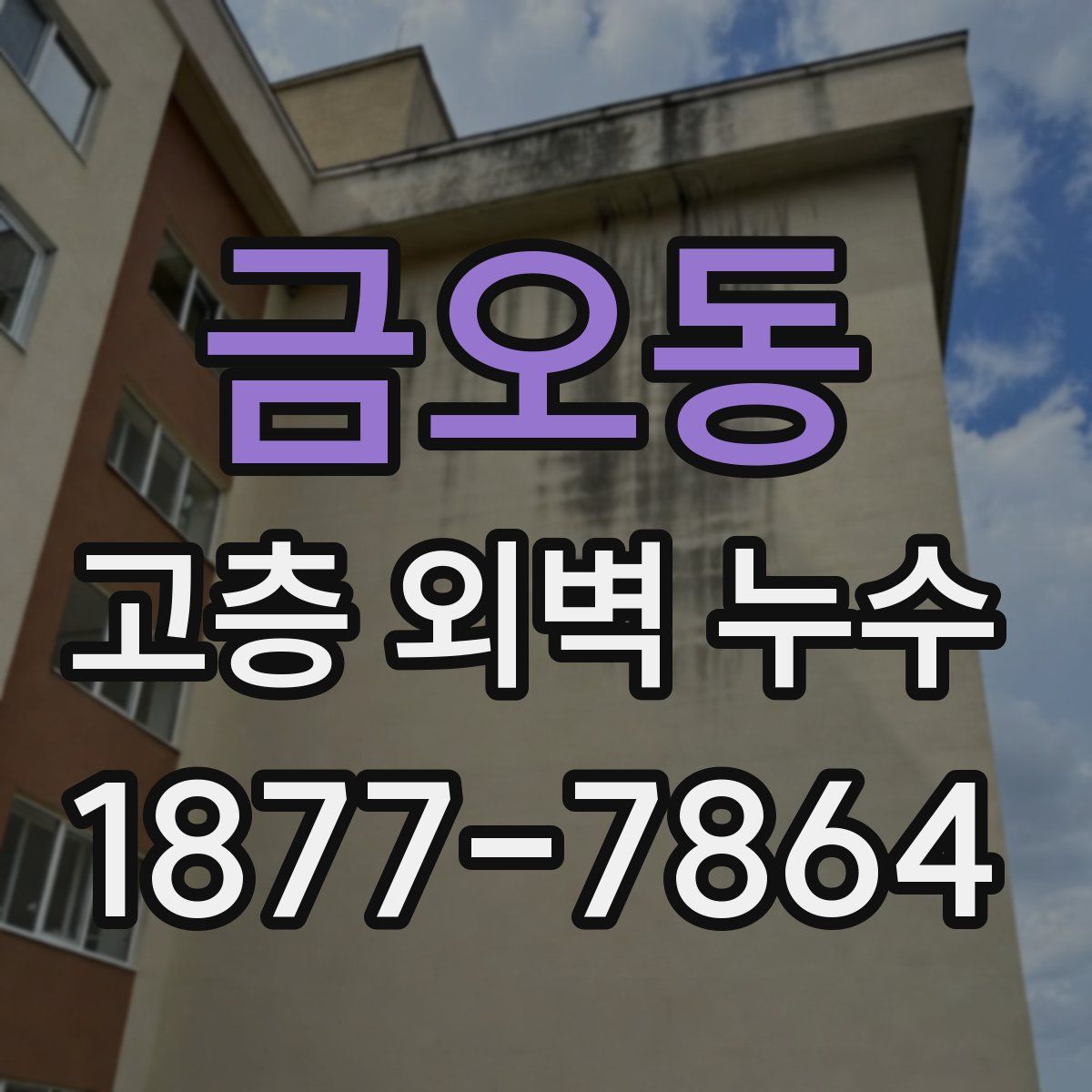 금오동 고층 외벽 누수