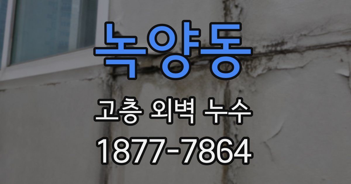 녹양동 고층 외벽 누수