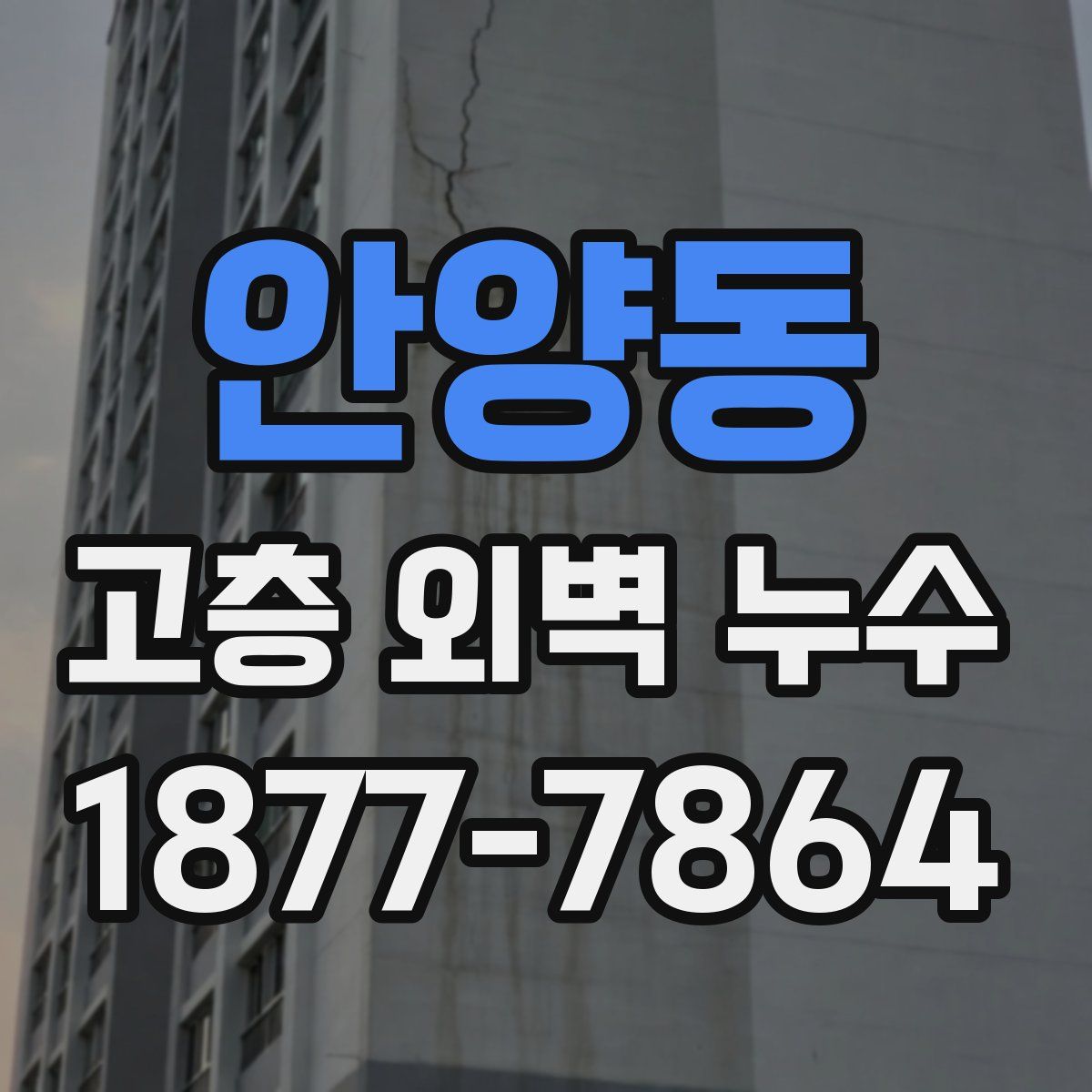 안양동 고층 외벽 누수