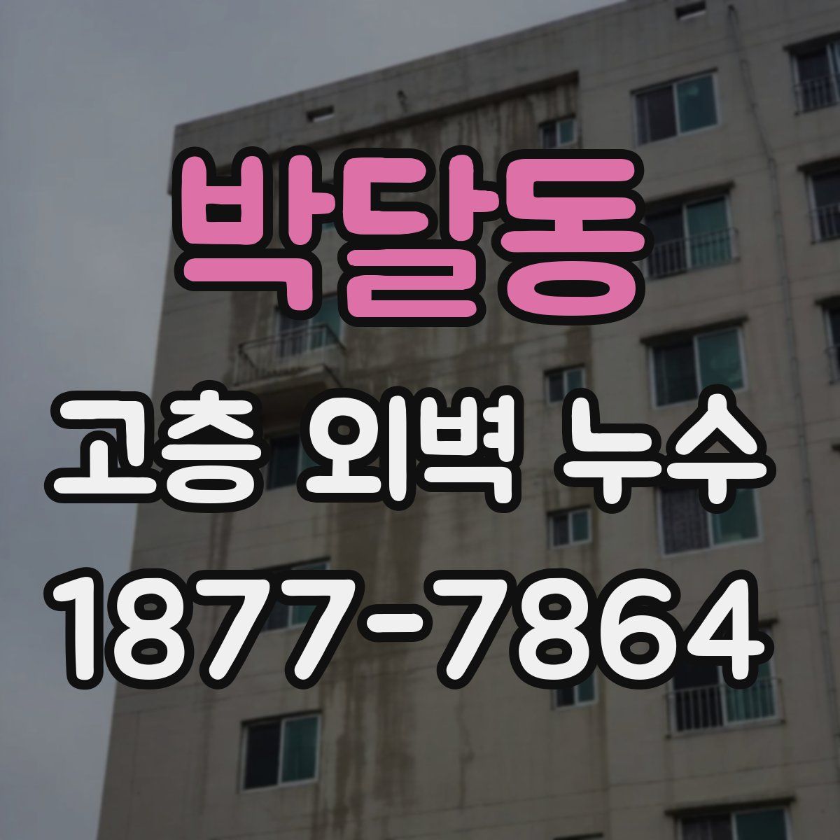 박달동 고층 외벽 누수