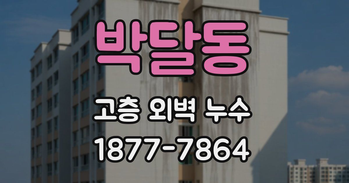 박달동 고층 외벽 누수