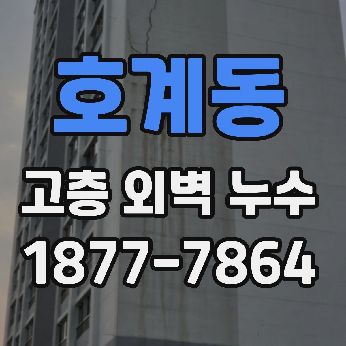 호계동 고층 외벽 누수
