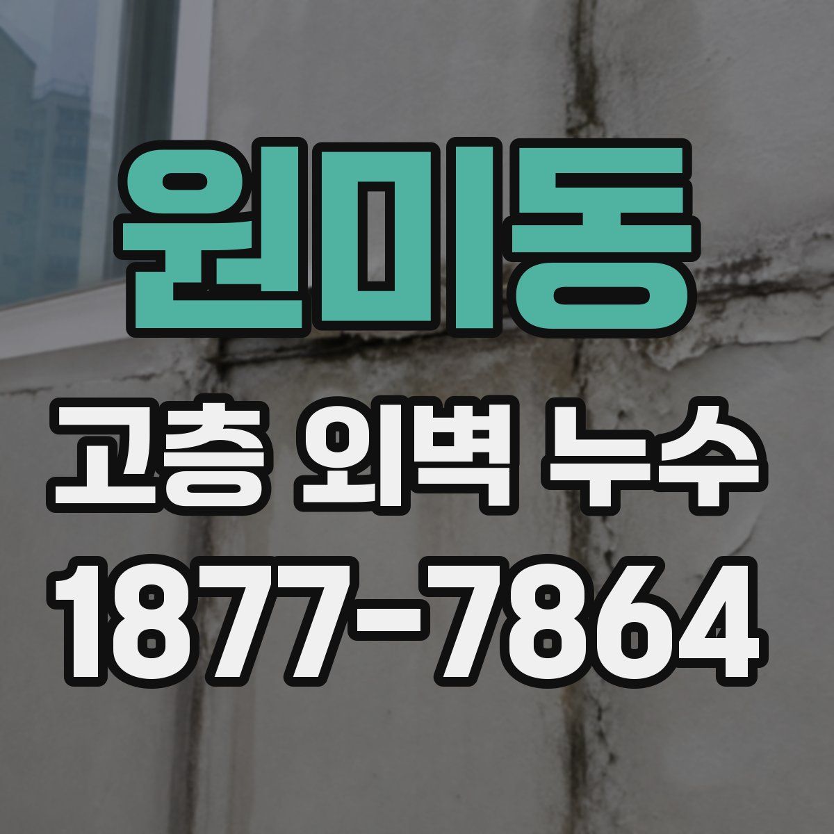 원미동 고층 외벽 누수