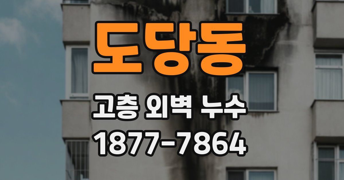 도당동 고층 외벽 누수