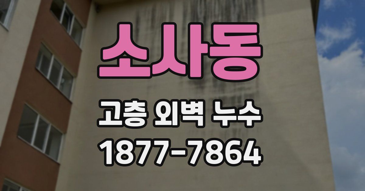 소사동 고층 외벽 누수