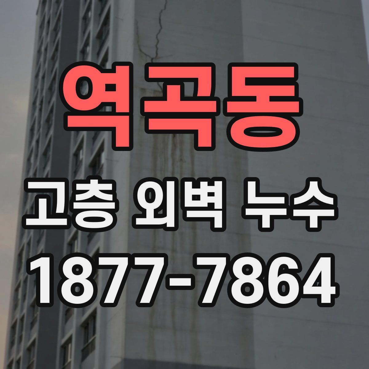 역곡동 고층 외벽 누수
