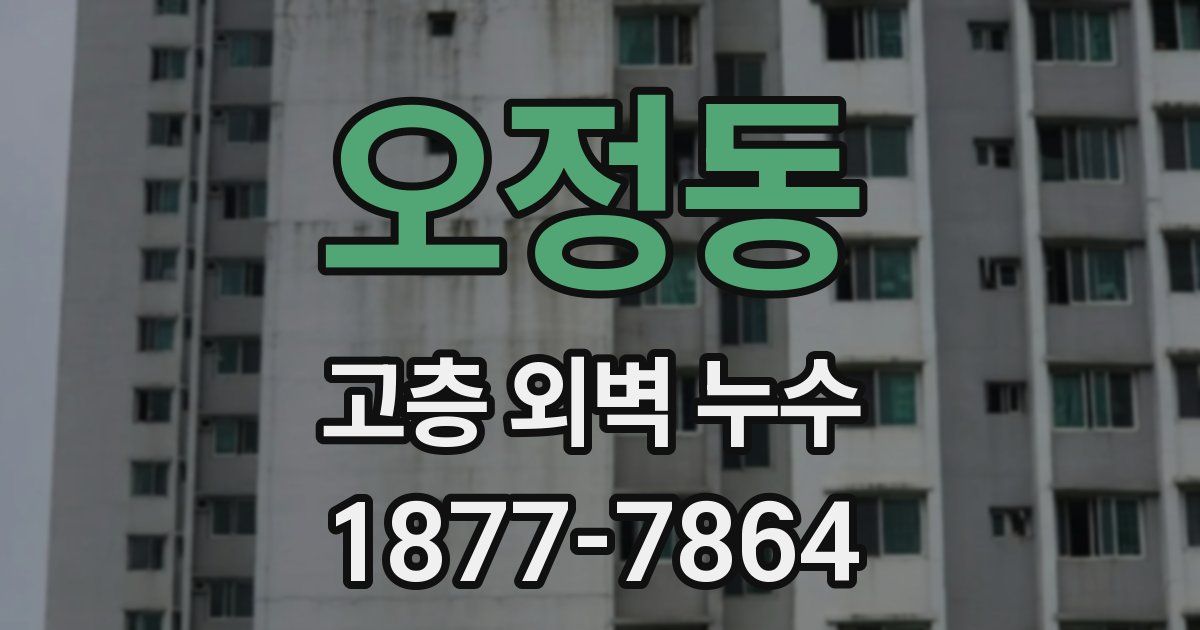 오정동 고층 외벽 누수
