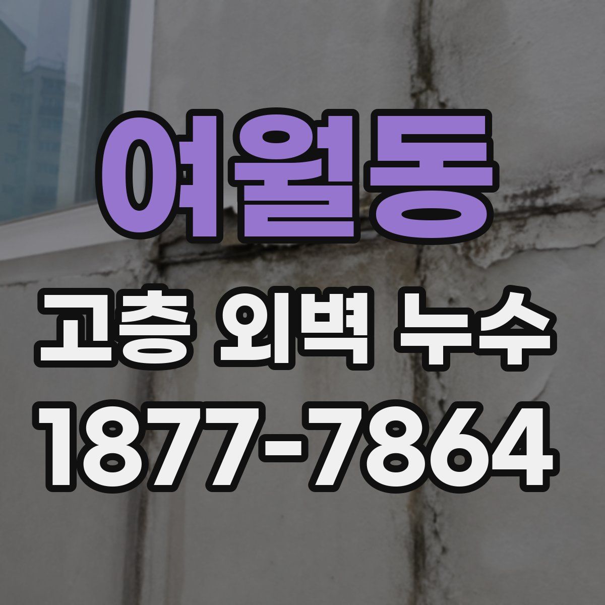 여월동 고층 외벽 누수