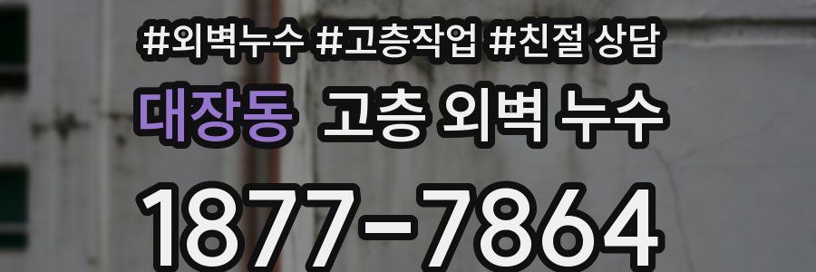대장동 고층 외벽 누수