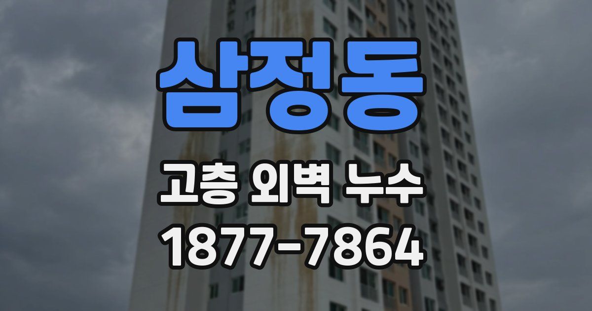 삼정동 고층 외벽 누수