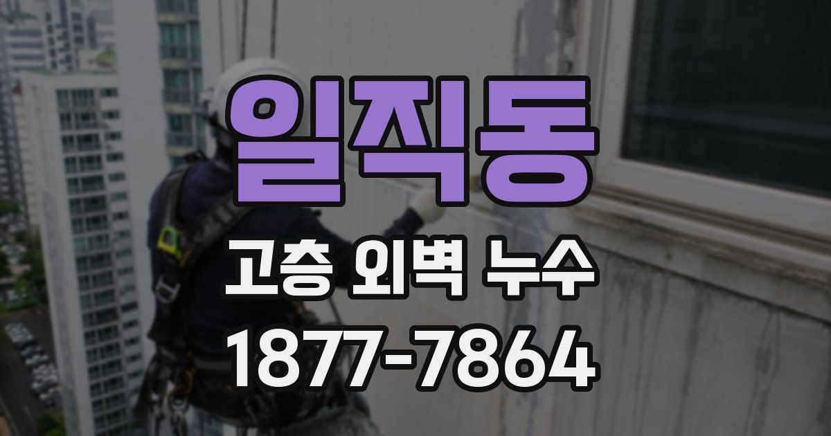 일직동 고층 외벽 누수