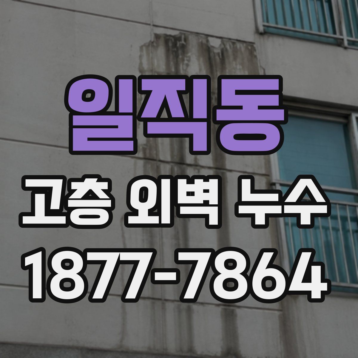 일직동 고층 외벽 누수