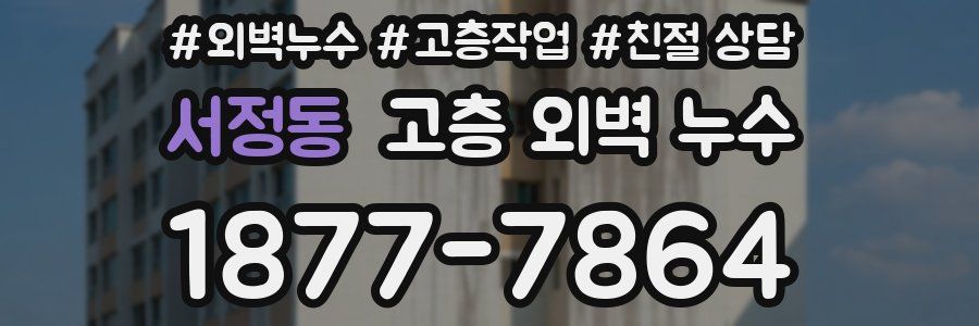 서정동 고층 외벽 누수