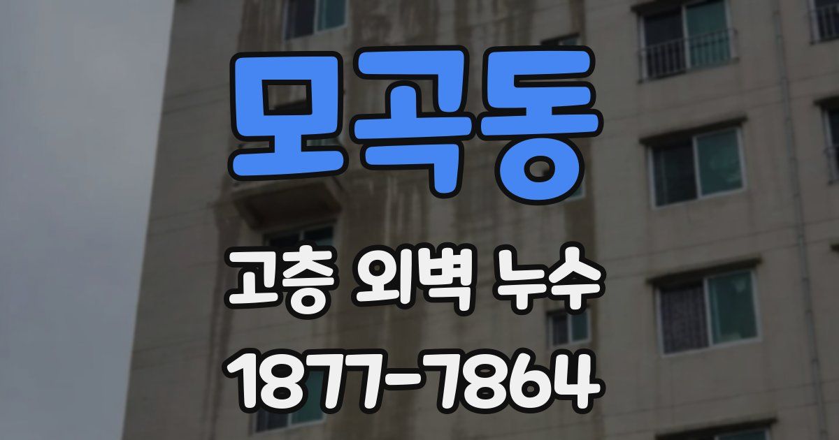 모곡동 고층 외벽 누수