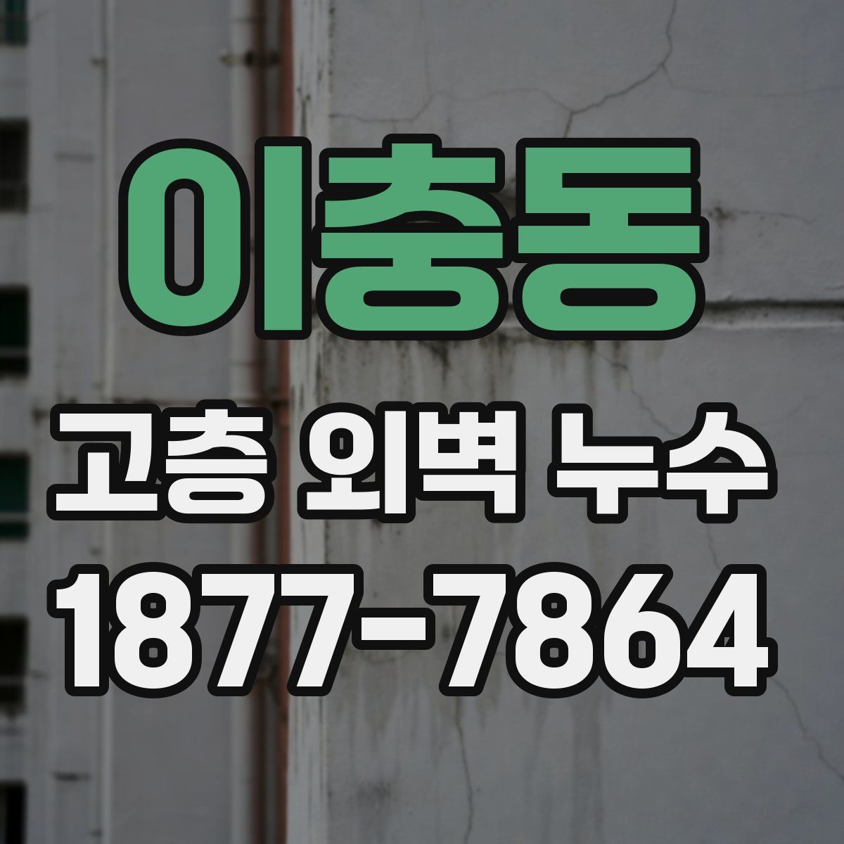 이충동 고층 외벽 누수